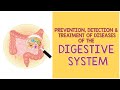 Digestive System Diseases Quiz