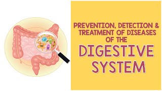 Prevention, Detection, and Treatment of Diseases of the Digestive System | Biology Animation