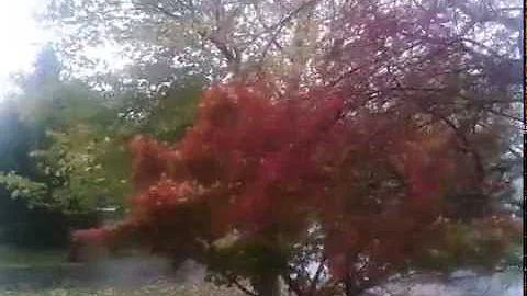 Hurricane Sandy - Frederick, MD