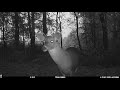 Best Of Northwest Georgia Trail Camera Pickup 2019