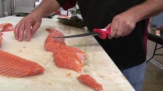 Bubba's 7" Tapered Flex vs. Salmon and Rockfish | Tommy Gomes Review