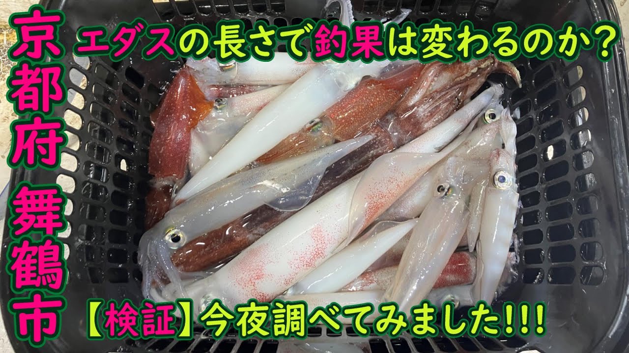 【京都府舞鶴市 イカメタル】エダスの長さで釣果は変わるのか？今夜調べてみました編!!!