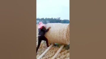 The process of moving the hay in a clever way = worth sharing