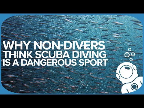 Video: Why Diving Is Dangerous