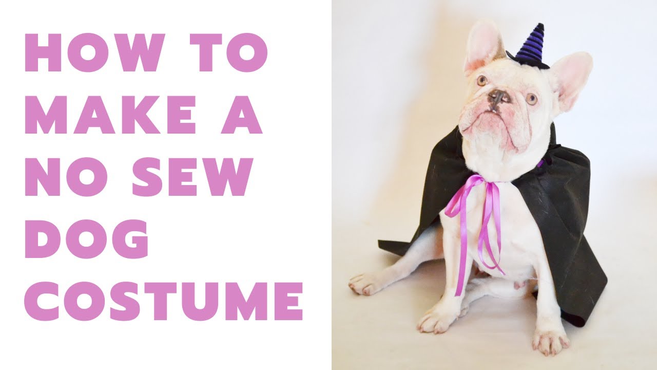 NO SEW DOG COSTUME // How to Make a No Sew Dog Costume with Oly Fun