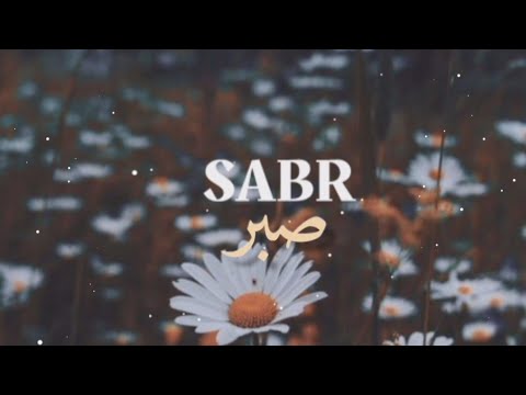 Sabr || Mufti Menk Whatsapp Status ||