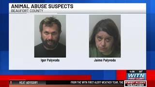 Couple charged with animal cruelty after two horses euthanized