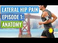 Episode 1 - Lateral Hip Pain: Anatomy (Gluteal Tendinopathy + Bursitis)