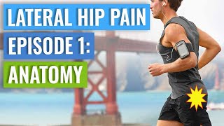 Episode 1 - Lateral Hip Pain: Anatomy (Gluteal Tendinopathy + Bursitis)