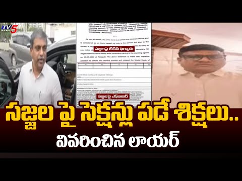 Advocate DADDALA Jagdish About Sajjala Ramakrishna Reddy Criminal Case | YSRCP | Tv5 News - TV5NEWS