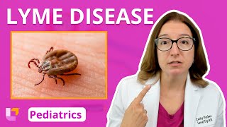 Download Lagu Lyme Disease: Alterations in Health - Pediatric Nursing, Integumentary System | @LevelUpRN MP3 Download Lagu Lyme Disease: Alterations in Health - Pediatric Nursing, Integumentary System | @LevelUpRN MP3