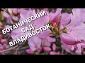 Ботанический сад, Владивосток. Прогулка обзор, состояния сада в мае. 10.05.2021.