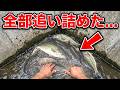 関東最大の湖から伸びる水路の終着点「何かいる」