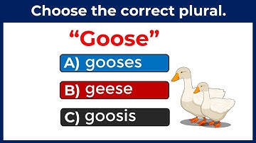 Plural English Quiz - English Grammar Test #1