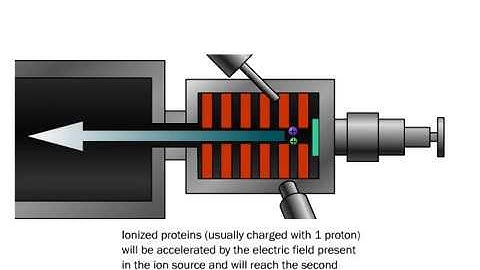 How a Mass Spectrometer Works (Life Sciences Outreach, Harvard University)