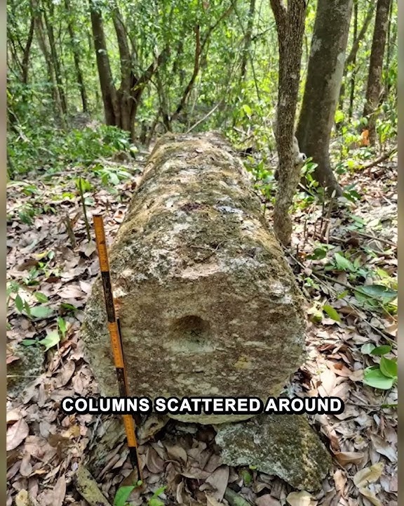 Mysterious Cylindrical Stone Columns at Ocomtún Could Be Unique to This Maya Site