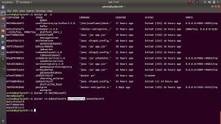 Remove Multiple Docker containers
