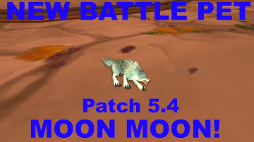 World of Warcraft Patch 5.4 PTR: "Moon Moon" New Battle Pet
