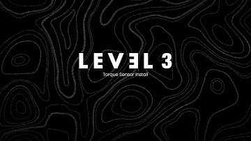 Level 3: Torque Sensor Install