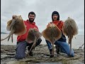 Crazy spring ray fishing witches point south wales