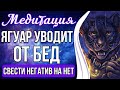 МЕДИТАЦИЯ - ЯГУАР УВОДИТ ОТ БЕД ☯️ Свести Негатив На Нет