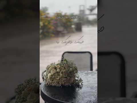 صدقني خلاص من بين الناس حبيتك و اخترتك ليا