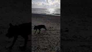 VID 20200111 1247270