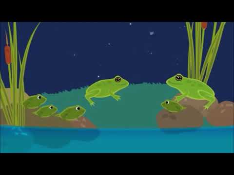 Vídeo: Deformitat Esquelètica En Amfibis