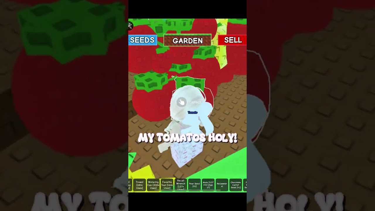 THANKS FOR THE HELP!