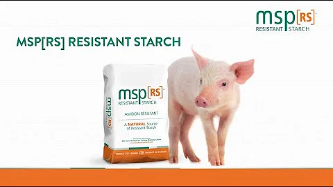 MSP[RS] Resistant Starch - Post Weaning Scours (Prevention & Treatment)