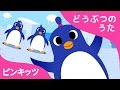 ペンギンダンス | The Penguin Dance | どうぶつのうた | ピンキッツ童謡