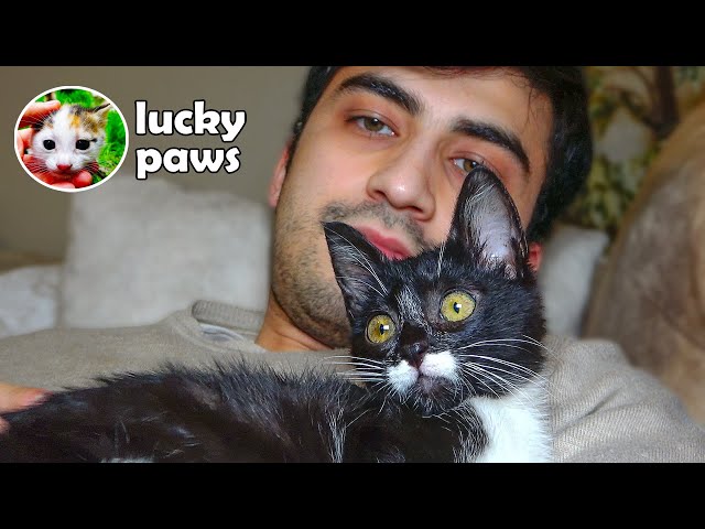 The Poor Little Kitten is Saved and Won't Stop Hugging His Rescuer | Lucky Paws class=