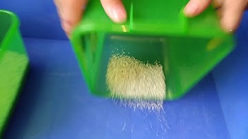 Rice size sorting broken