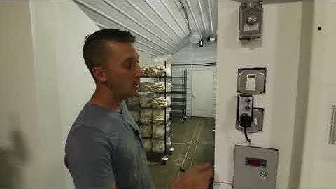 How To Control Humidity and Airflow in Mushroom Fruiting Rooms