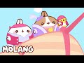 🩵✨ The New World | Molang | Cartoons for Kids