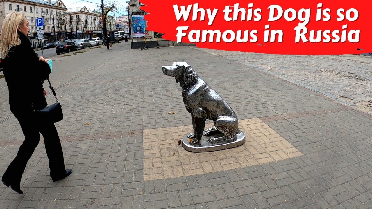 Why Voronezh city made Statues of this Famous Russian Dog Indian In
