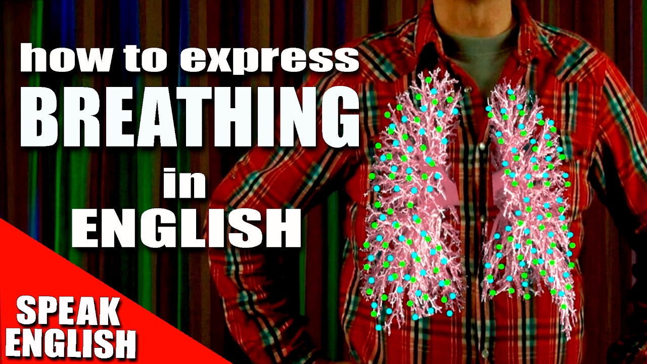 Learn English - Express breathing and breathe in English - English lesson