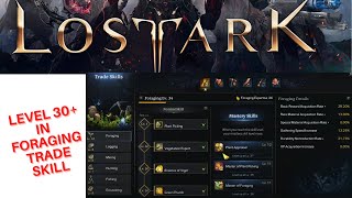 Lost Ark: Foraging at lvl 30 benefits Lost Ark: Foraging at lvl 30 benefits