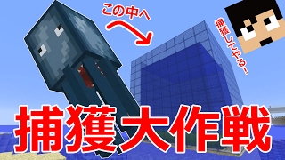 【カズクラ】イカ捕獲大作戦！水槽にイカを入れてみた！マイクラ実況 PART751