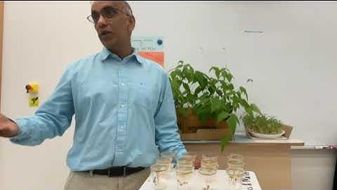 Introducing the ESS IA-First Exams 2026