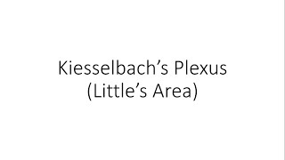 Kiesselbach's Plexus (Little's Area) - ENT