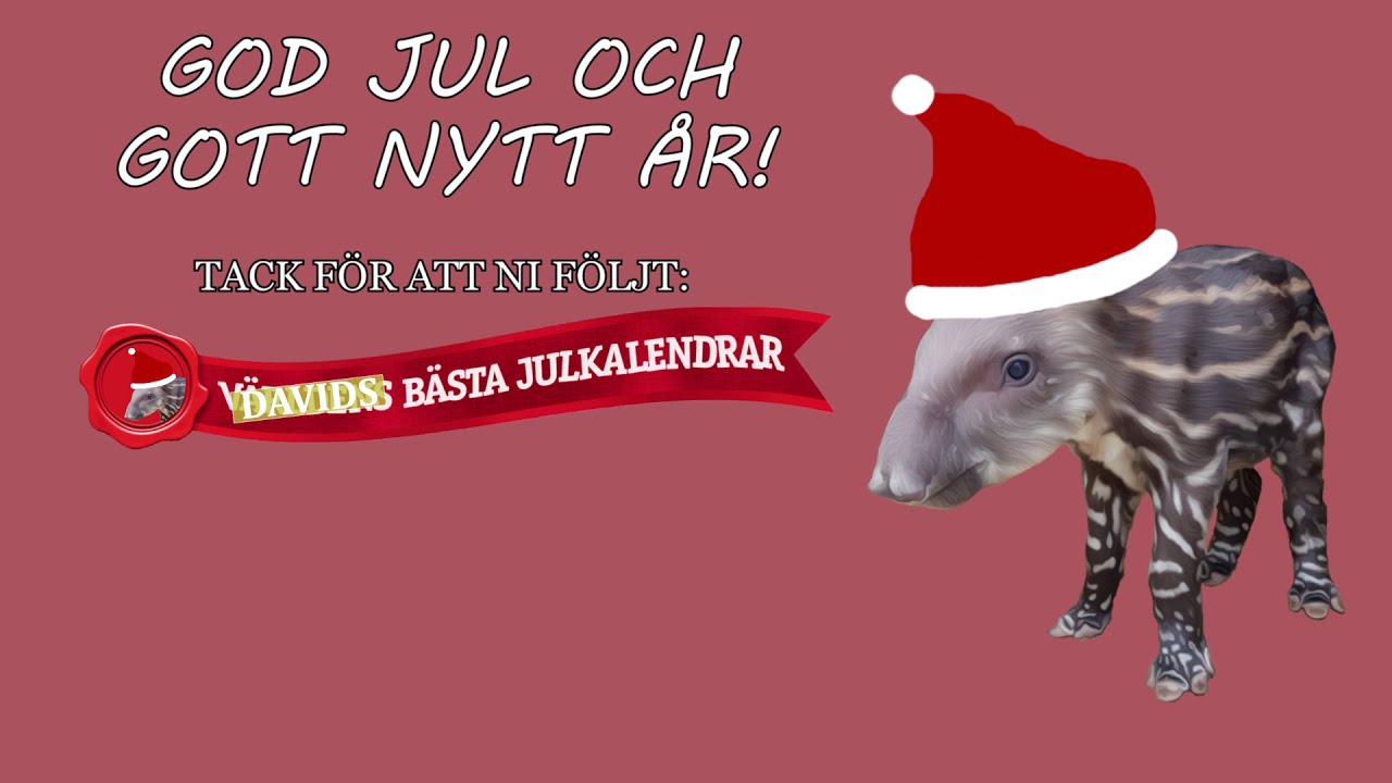 Davids Bästa Julkalendrar 24:e December: Sammanfattning och Grand Final