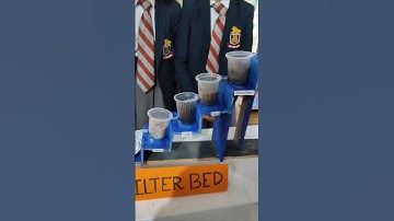 Water Filtration System #project #science #diy