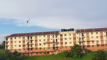 Align trex 450 dfc fly 3D by heli fic