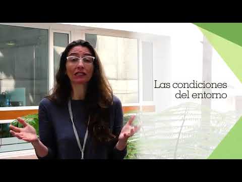 Video: ¿Qué es el enfoque basado en valores?