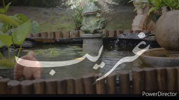 احلىٰ أذان بصوت القارئ ارام عبدالله الكردي بمقام التركي