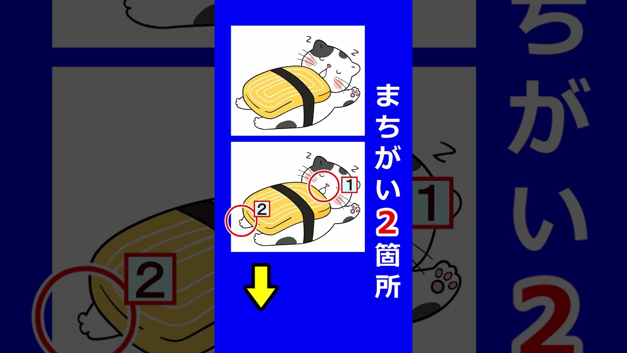 寿司猫のイラストで間違い探し。２箇所の間違いを探してみて！s031　#Shorts #脳トレ #間違い探し
