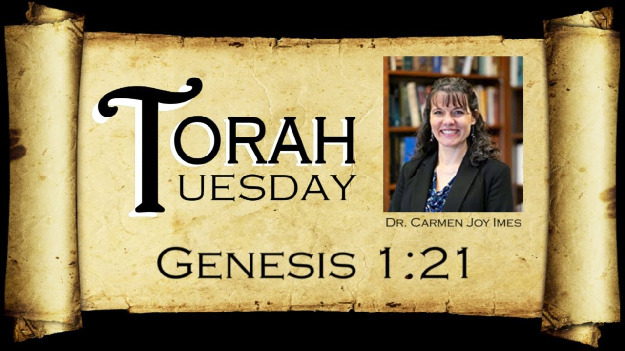 Torah Tuesday Genesis 1 21 YouTube Torah Tuesday Genesis 1 21 YouTube