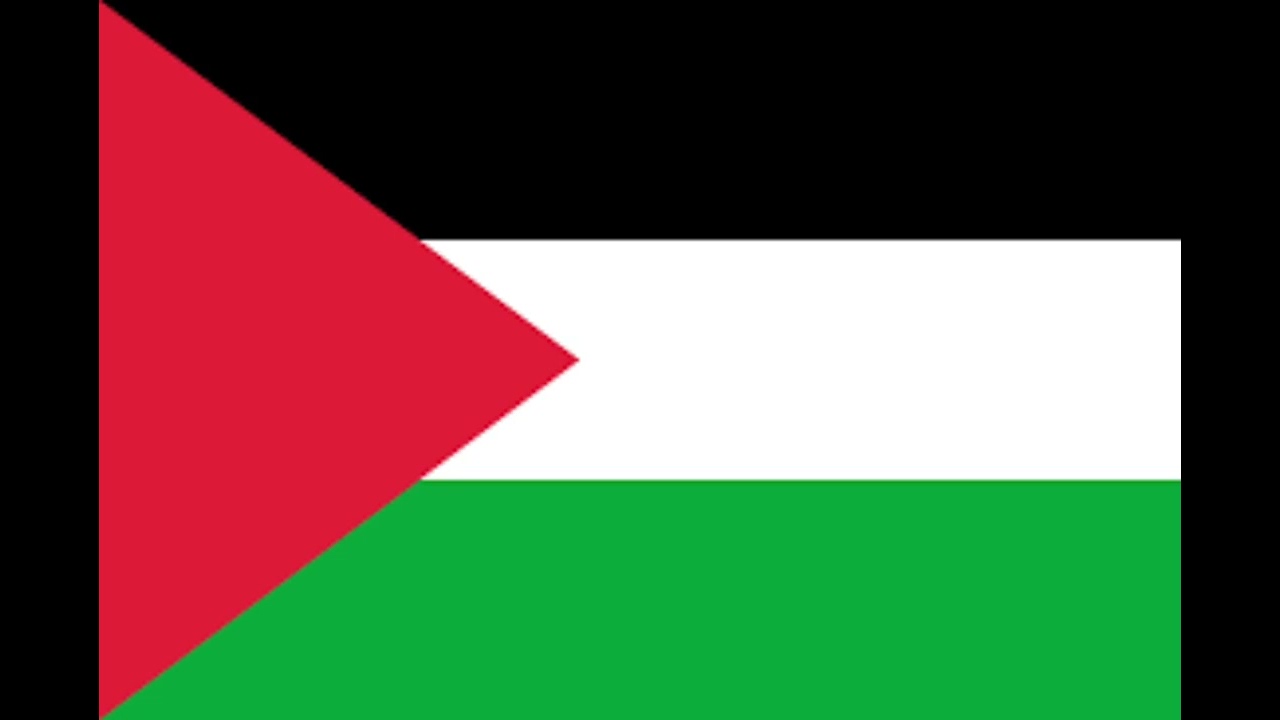 Stand Up For The Revolution (Palestine Revolutionary Song)