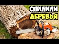 Спилили с соседом деревья во дворе дома в деревне || Почистил крышу || Сделал стопоры для ворот